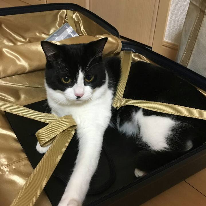 A43a83f7 aa2b 4afd afb2 4373f0b6e188