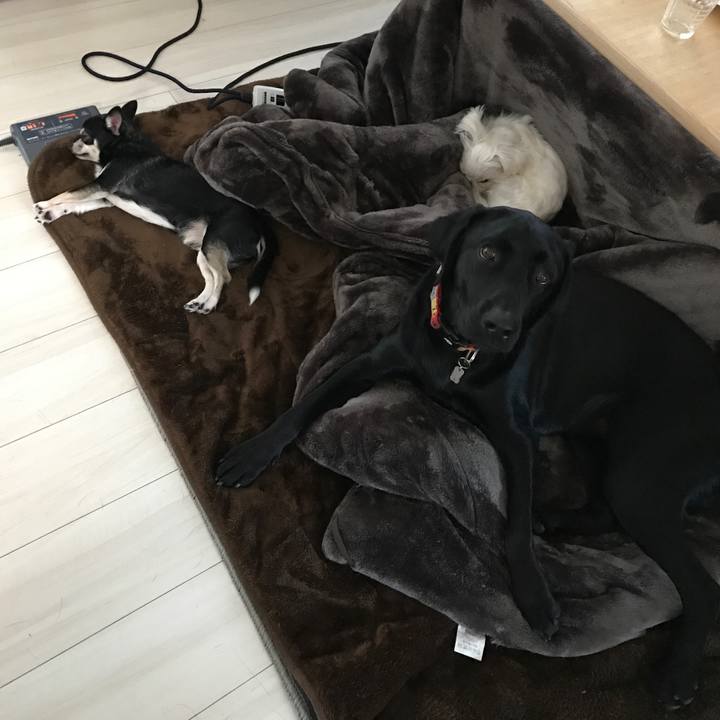 A43a9f41 e04e 4131 87fe a90e2cbcfaf1