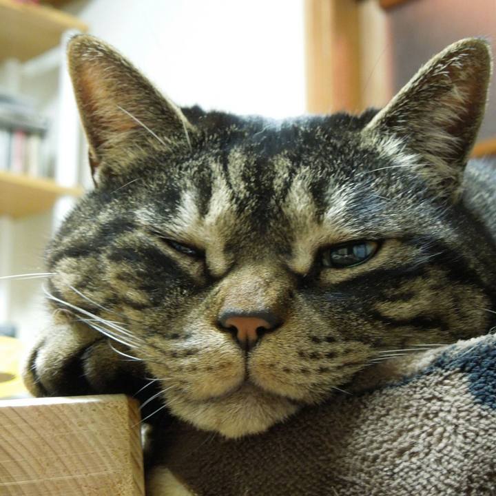 A43b84f2 82e7 446b 8375 3fc395d1bead