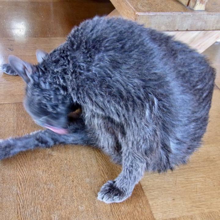 A43b942a a650 4b82 b64d 3132a39f8cc1