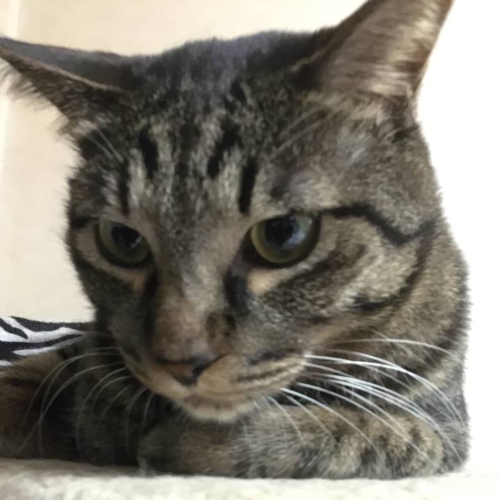 A43c6d3c 6f9a 4877 9aa1 615e665e3127