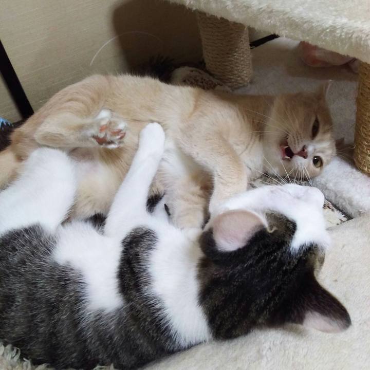 A43d2955 022d 442c b0e3 209230a95f73