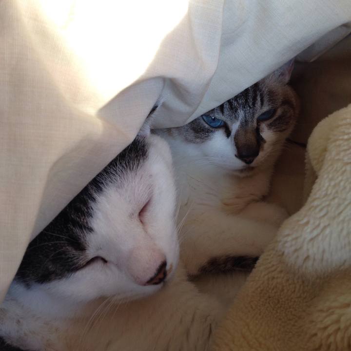 A43dbf2d 1b87 482e 82c8 1b98281b432e