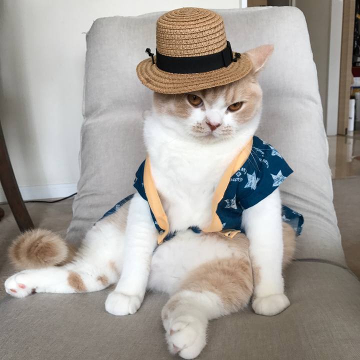 A43ddabe 5db3 4f6b 8a1f 1c2b81a8a3b2