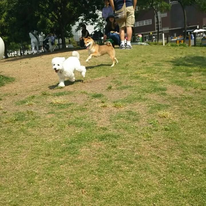 A43df322 4af5 49cf b633 284f85f547a1