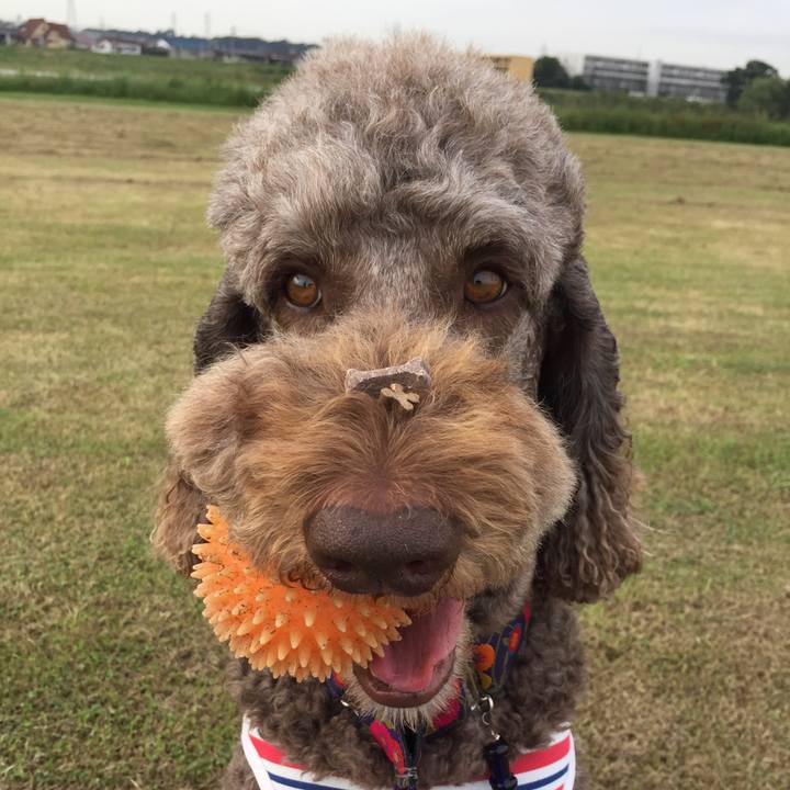 A43efcaa 9fd2 4c29 8601 5c31ed135037