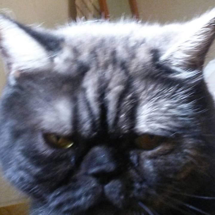 A43f2c72 f6a5 4544 9dd3 74778606a872