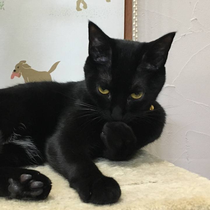 A43fb695 a2fd 4e4d 9caf 4aa57ab57560