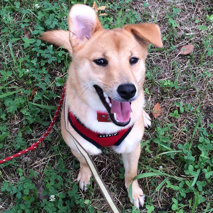 A43fcea6 fac2 4c65 b685 b119c076977c