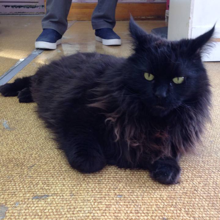 A43feb33 8968 4f69 b01e 3cc3438b0509