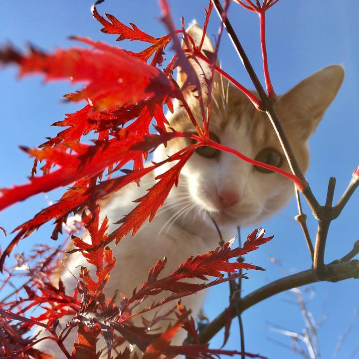 A44031b9 af3f 4ad4 8440 c5b4cc7226c1