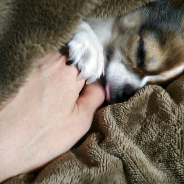 A440c9df f35f 4225 80a1 0660acf5ae5a