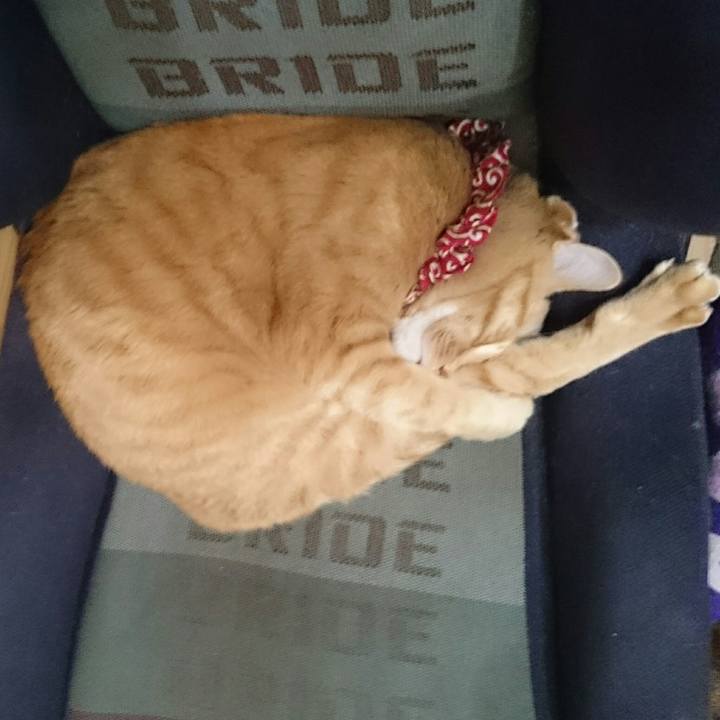 A44118ba 808d 44ec 96a8 7adf6ddb5e1d