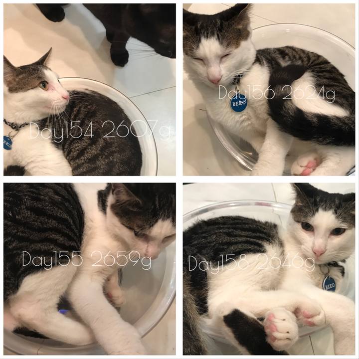 A4411908 2a83 4e95 9185 0f9f6c4106aa