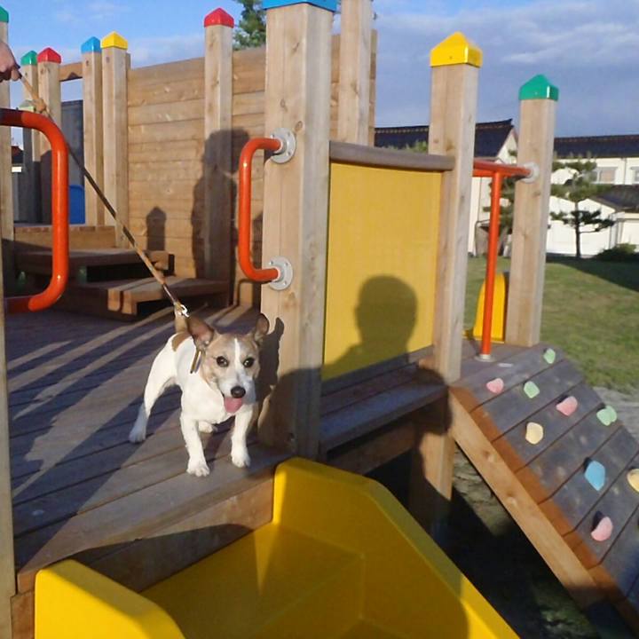 A44276df 81bb 4d21 ad64 4adb731a0a37