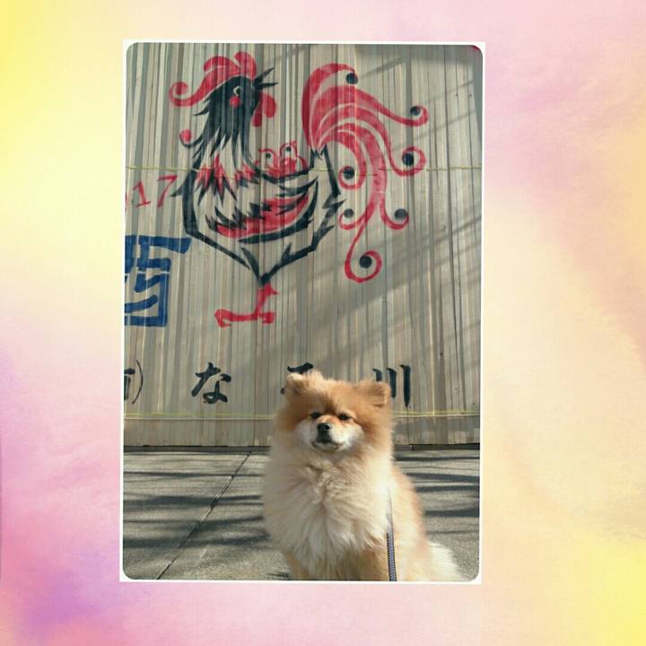 A44313ed fb86 4874 9fea 60de4497f27c