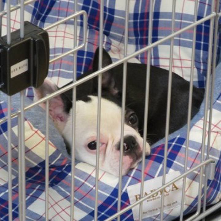 A4435420 12a5 434c 8217 f2ba29924d49