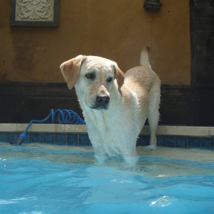 A443fa9a c222 49b2 8a29 f8cdb02e3208