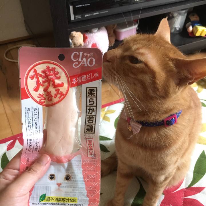 A445a703 f63f 4357 97d7 b0dc61974860