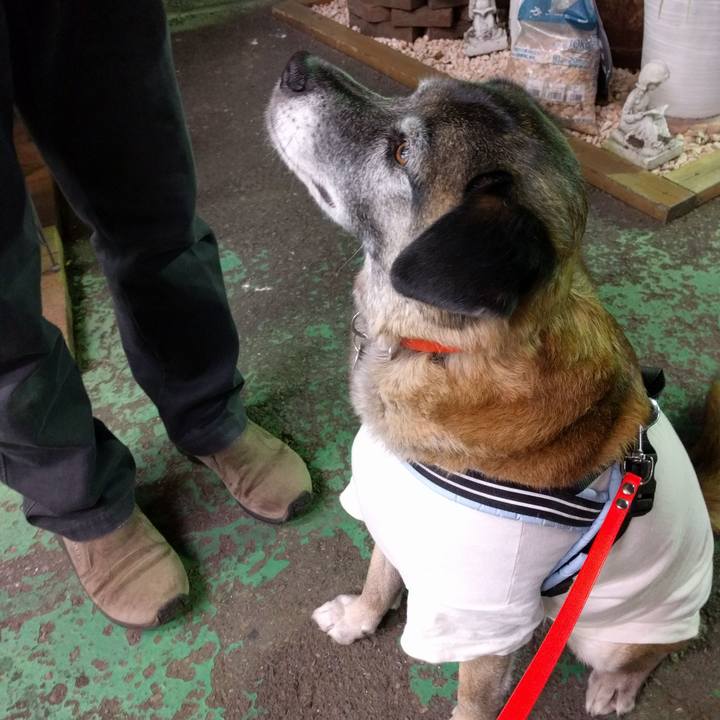 A447df6c d6c0 44ea 8bb9 871703b0d694