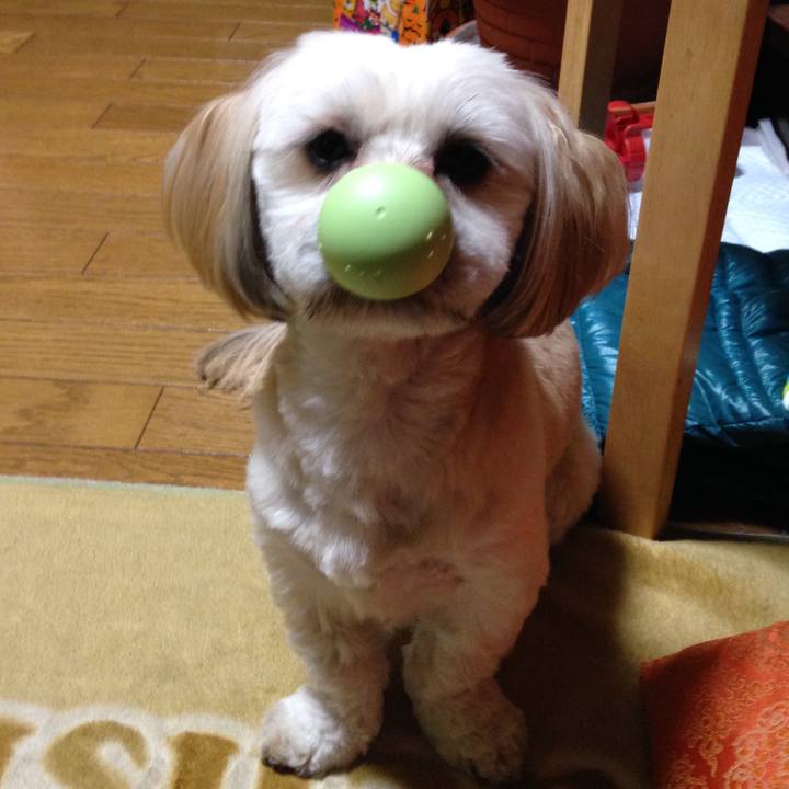 A44880ca 6f78 426e b6b7 b94835d49409