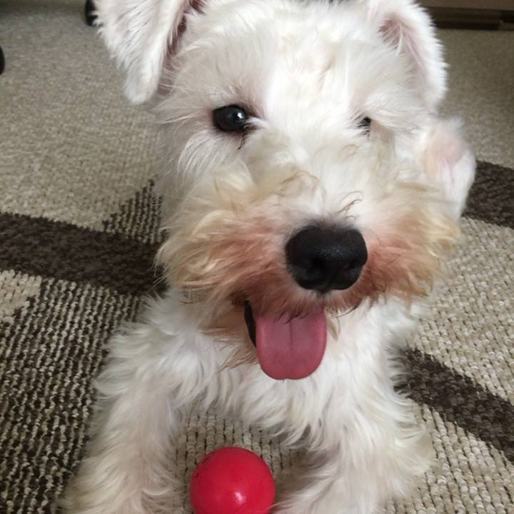 A4488736 9f68 4282 85f9 f0d44ad9848c