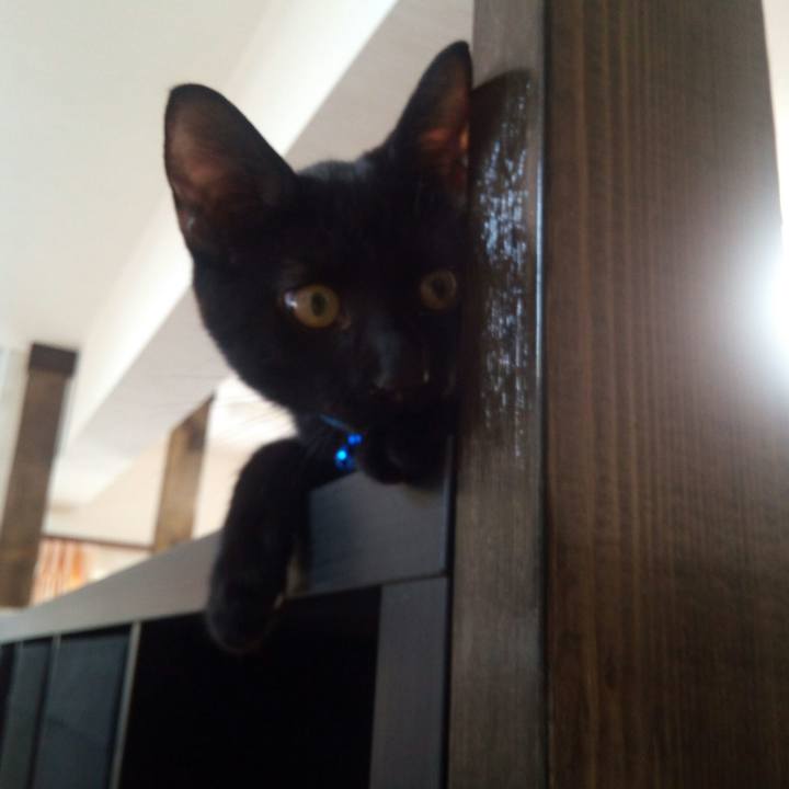 A448cca2 e01f 4606 b6fd f8450babd148