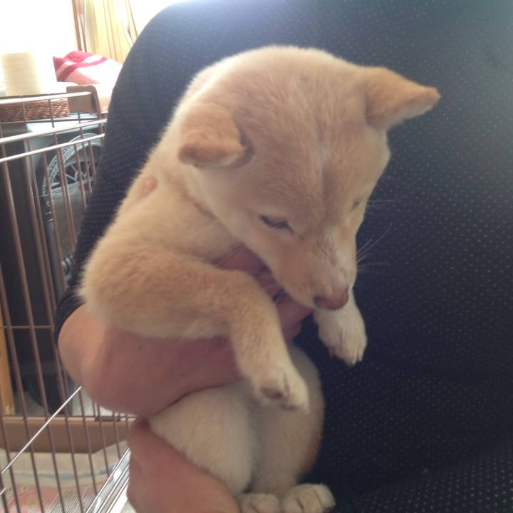 A44aaf0c c43f 479b b74d 60fc0d087748