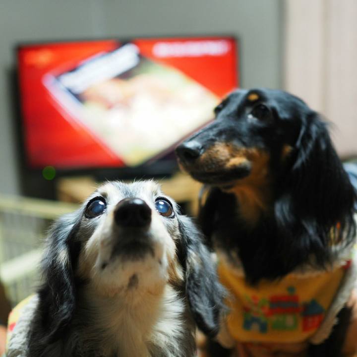 A44b2922 8b45 4bf1 bbb3 4b07303e3d57