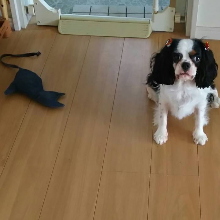 A44b6725 a9ab 46eb 8cd0 e8e2430c977d