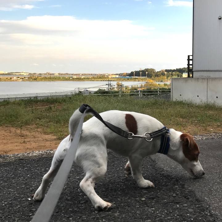 A44bde75 602e 47ea 96bc 20c45edb9563