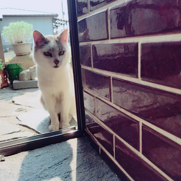 A44c2af5 f704 4929 b4ea 76dccdbd68d0