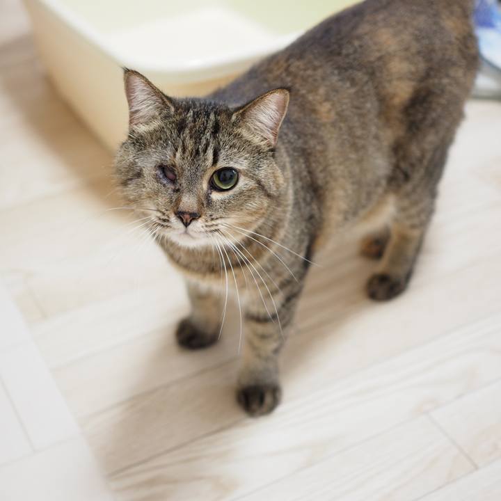 A44ce0cb 98b8 4d8b 8cc3 f2e13e037c8f