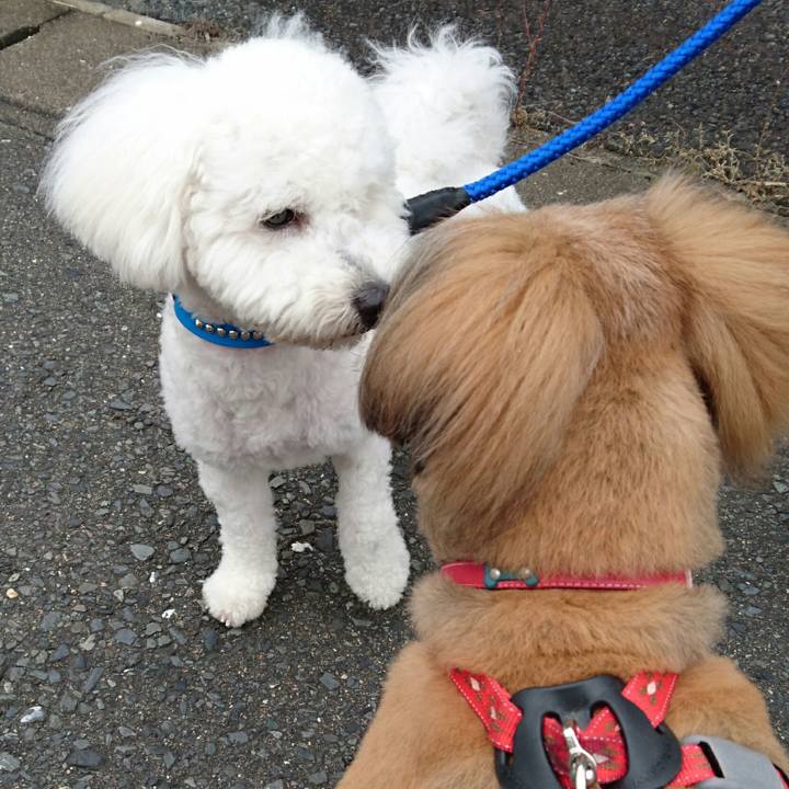 A44cfe83 adc1 4407 b6f2 8909d9808104