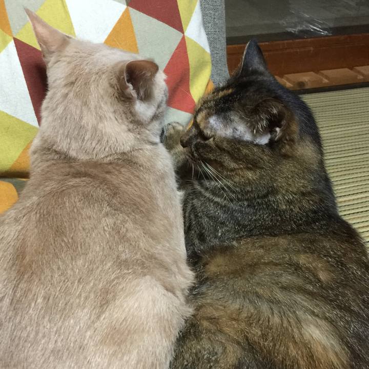 A44d1437 cdde 471c 9b87 b35ae1b8daf9