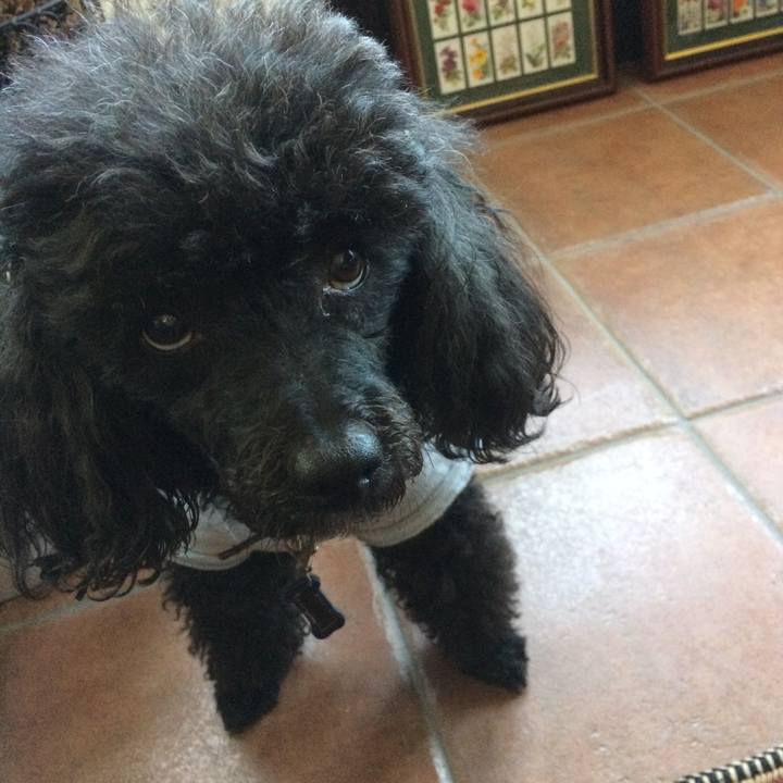 A44d3636 702f 4728 a5a4 f86f8b7d7fd9