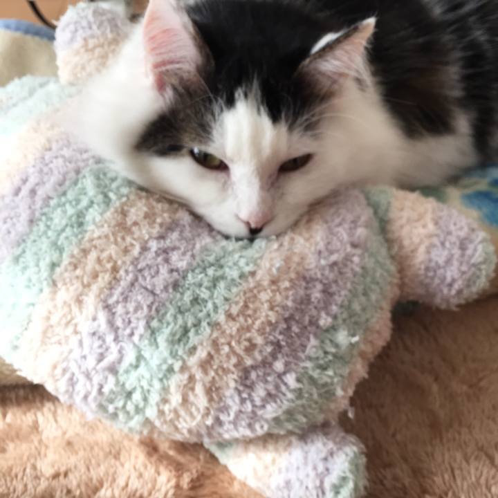 A44d9376 86c3 4f10 9587 669eee7de759