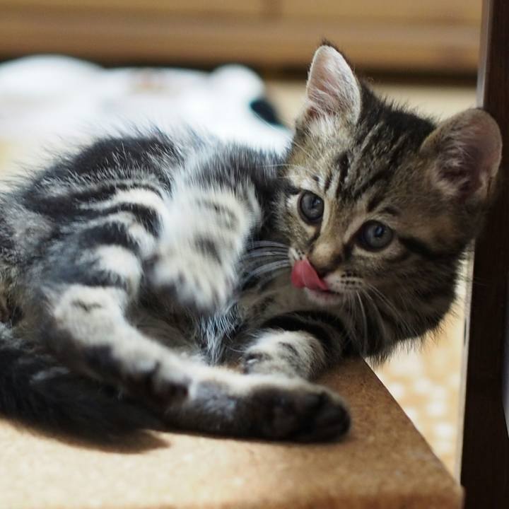 A44defe2 7971 44f4 b45c 10e2fe84eed2