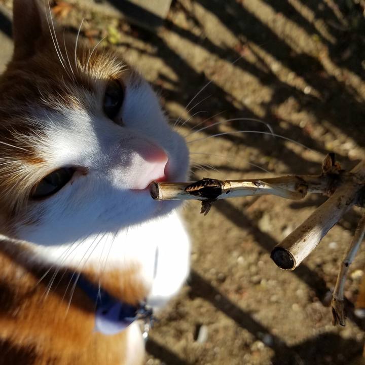 A44e0dec 0159 4010 b2d6 ed1bc17a9e5d