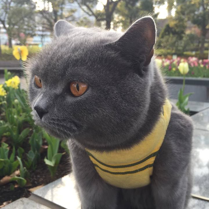 A44e0ef7 a182 44ff a931 5aea19b23060