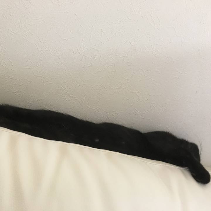 A44e8c13 4ab7 4d92 85b0 8796972b2d38