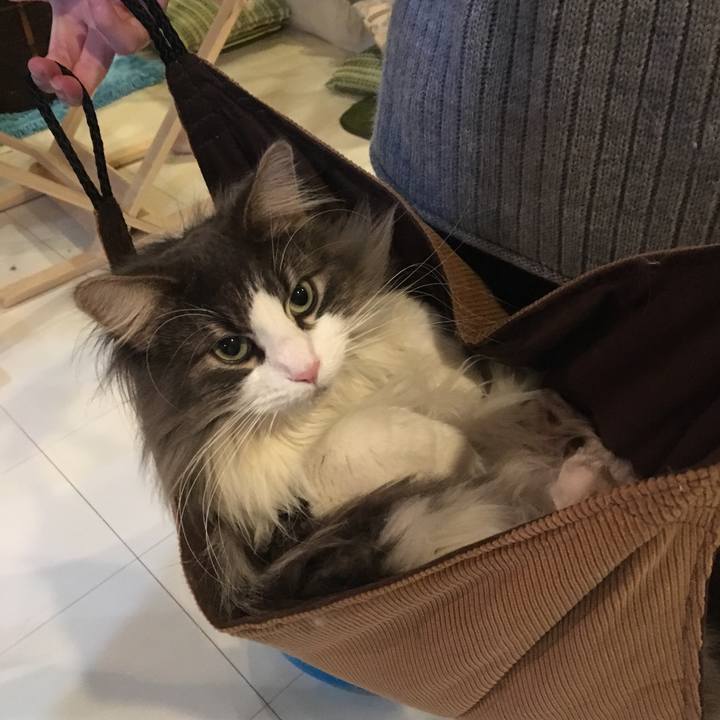 A44eb883 8979 48ba 8954 cb27588812b1