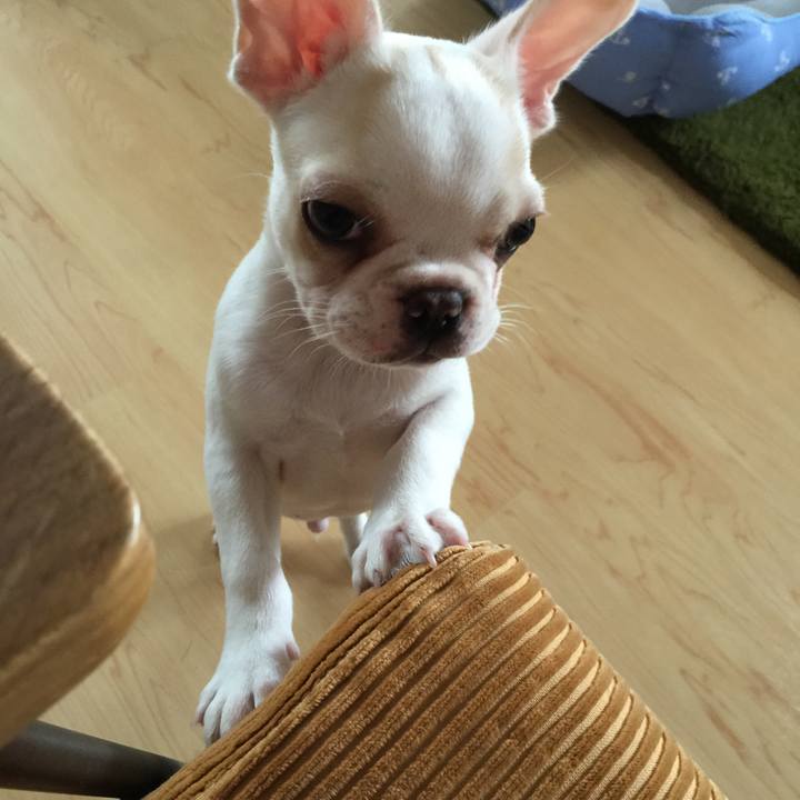 A44ee22c 266c 4d72 ad23 ef6e677d2060