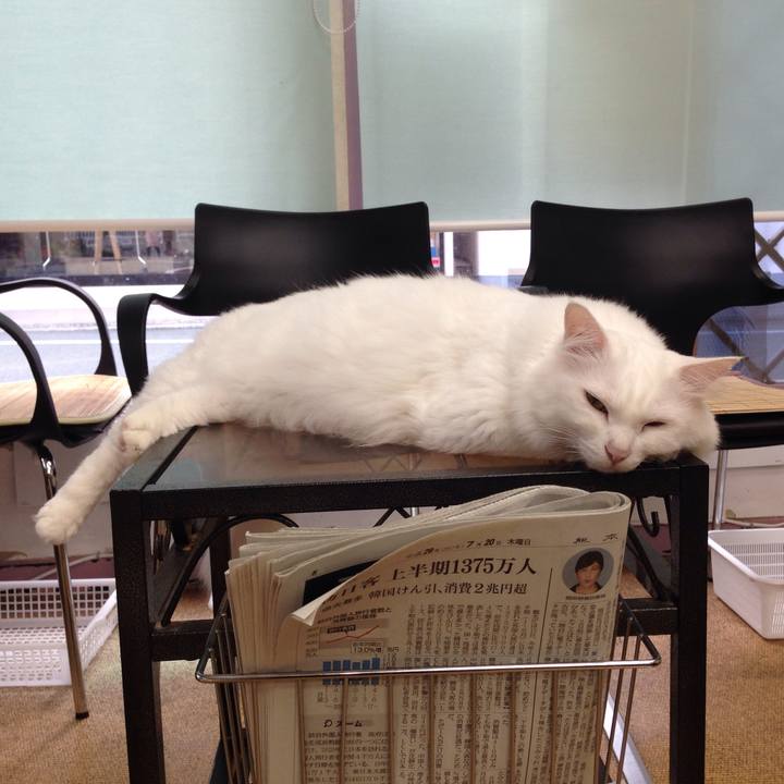 A44f528f 26a3 47c8 a409 5349ecab42b5