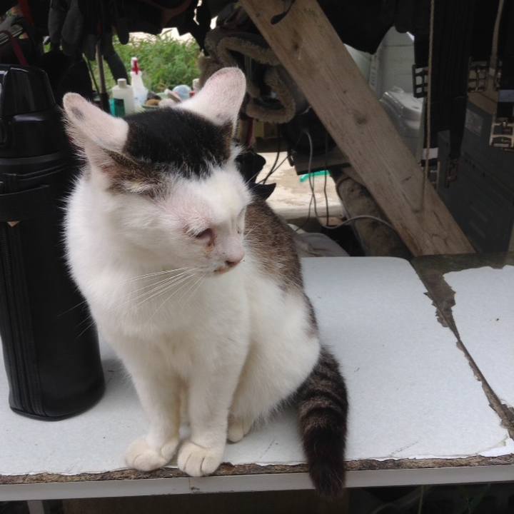 A44faa8f 010e 4dda 812c 0c521ec9322a