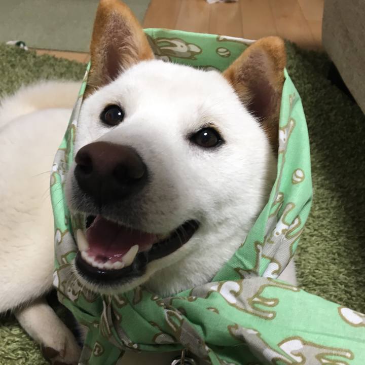 A44fdf33 cf3c 4f91 905c 1b19f3ead29d