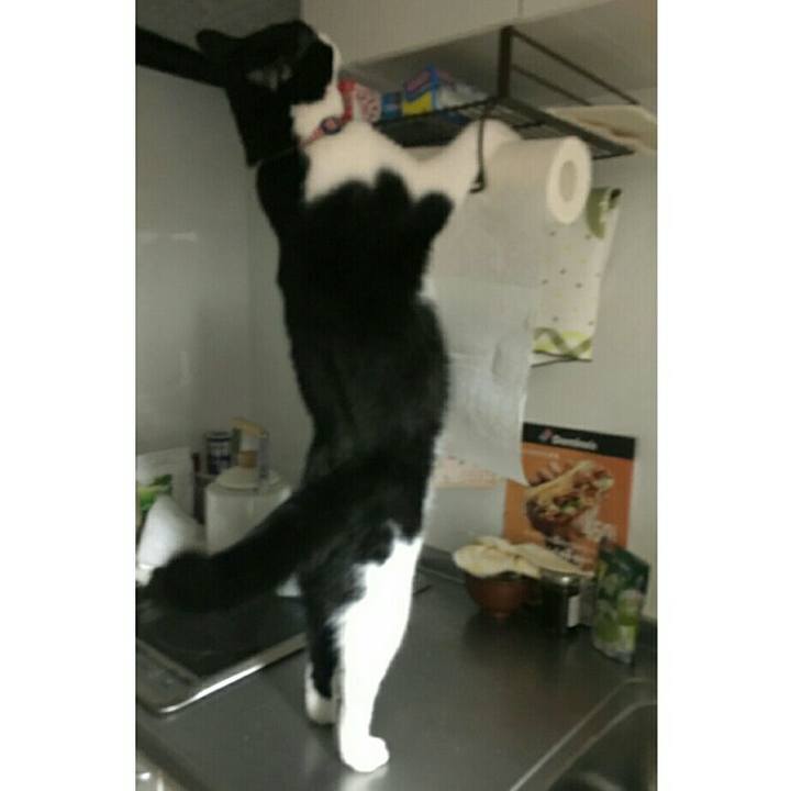 A44ffff3 5aab 435c 9fc5 9c0ca097e252