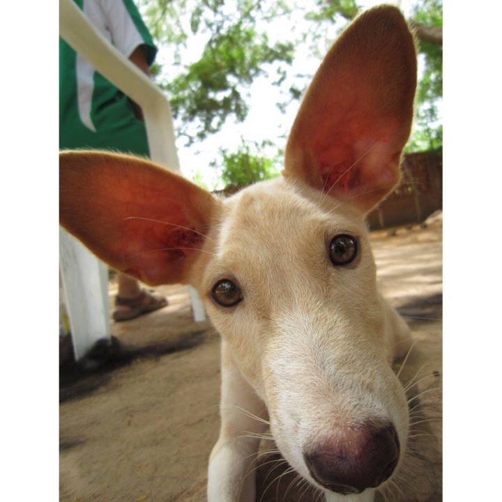 A45020ef e480 468b 9166 a6e2bf787339