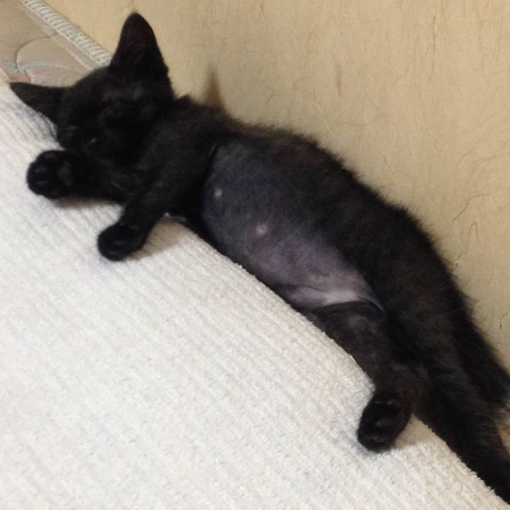 A4505140 4be0 4cfb 9414 cc3042d43a1b