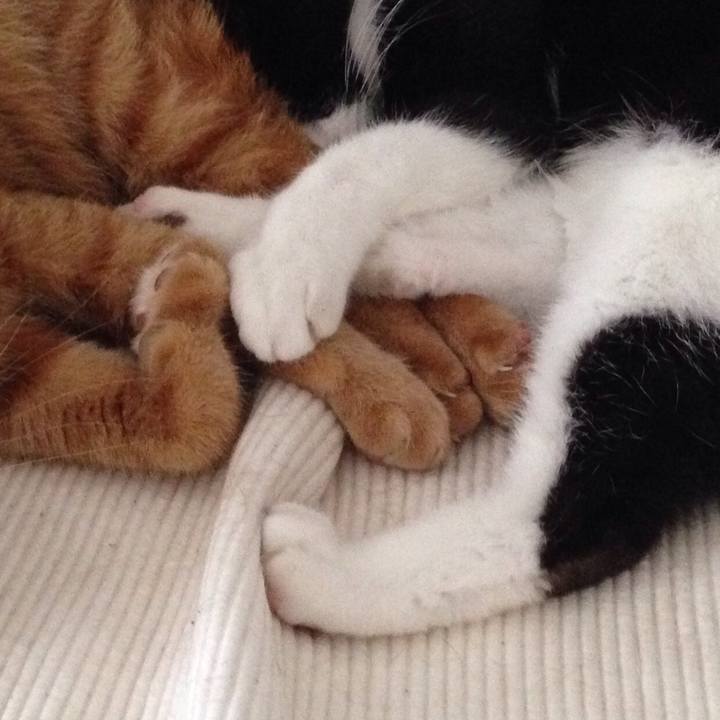 A4508c6e d377 47e2 9eff d4231a88484a